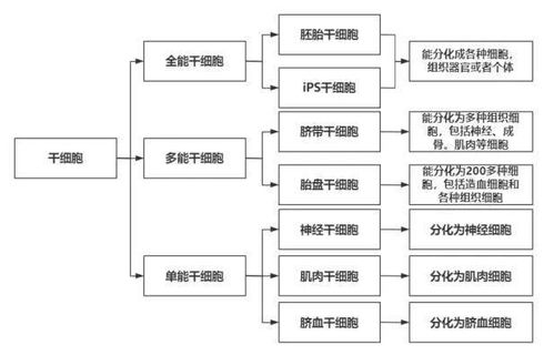 系统思维 介绍一套让你重新理解互联网产品的思维模型