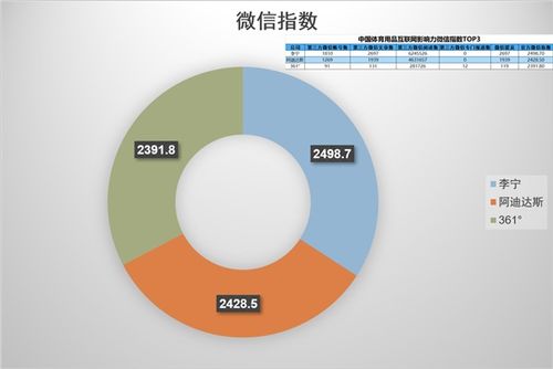 中国体育用品互联网影响力排行 7月篇