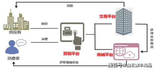 新常态下的电商经济 直播经济